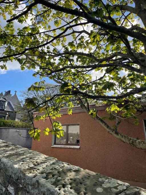 Cosy Cottage In Kveldrso Gardens ليرويك المظهر الخارجي الصورة